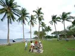 Avila Gardens (D17), Condominium #488407931